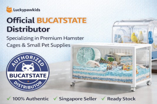 Bucatstate Essentials for Your Hamster 🐹