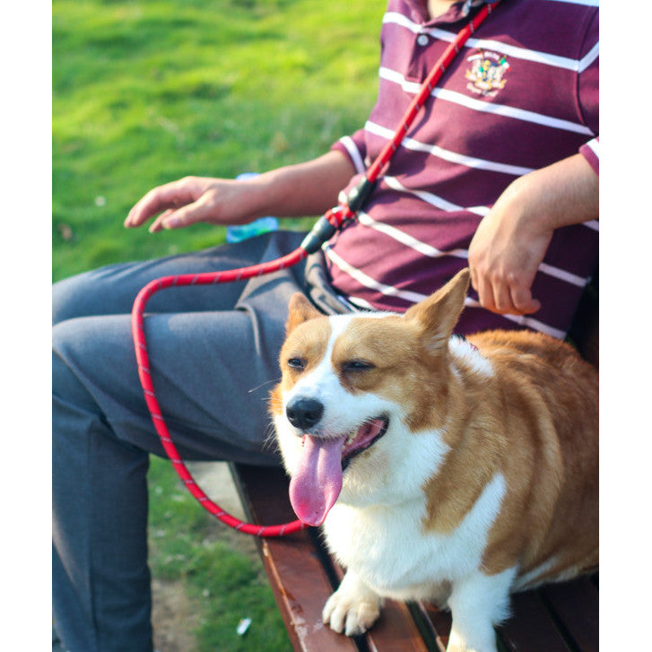 Diagonal Running Traction Rope Hands-Free One-To-Two Double-Ended Dog Rope Dog Chain Dog Leashes