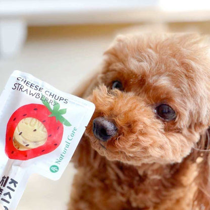 Clearance Sale / Korean Natural Core Cheese Chups / 16g / Dog Treats / Lollipop / Apple / Strawberry / Broccoli
