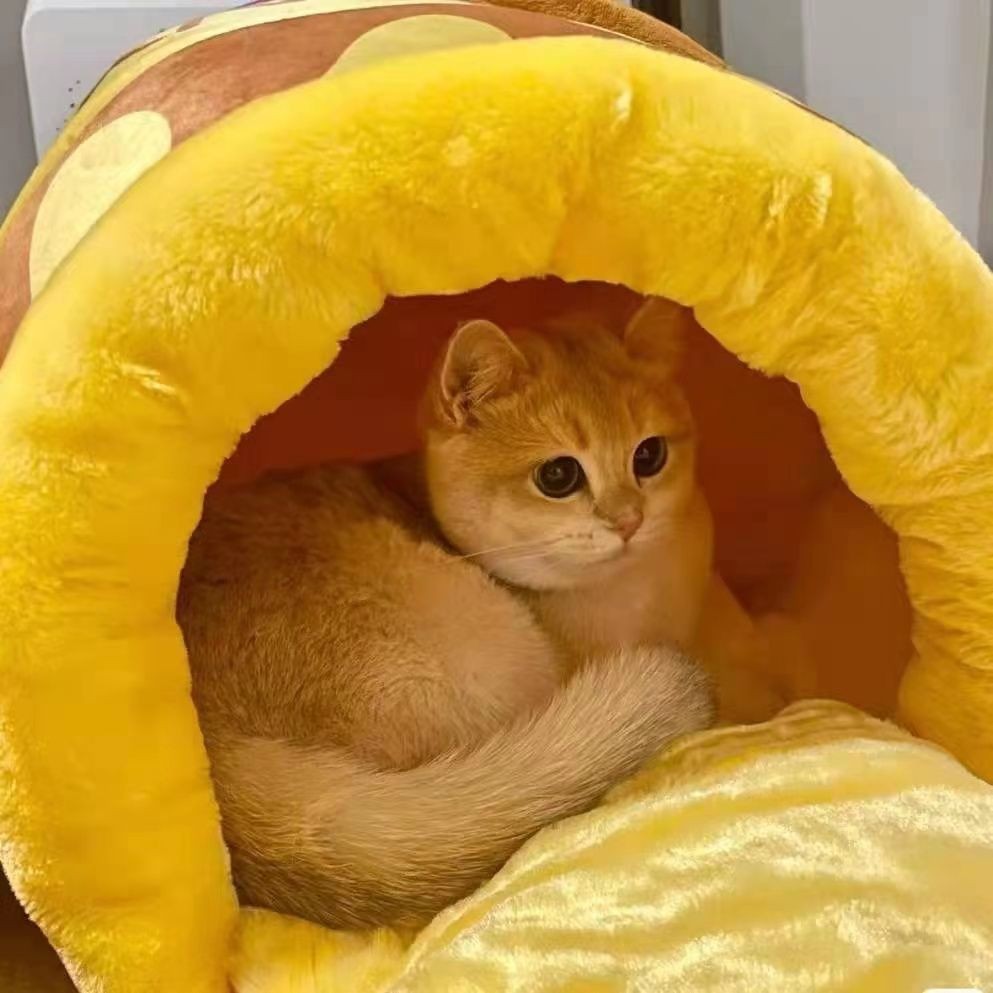 Plush Honey Pot Cat Bed