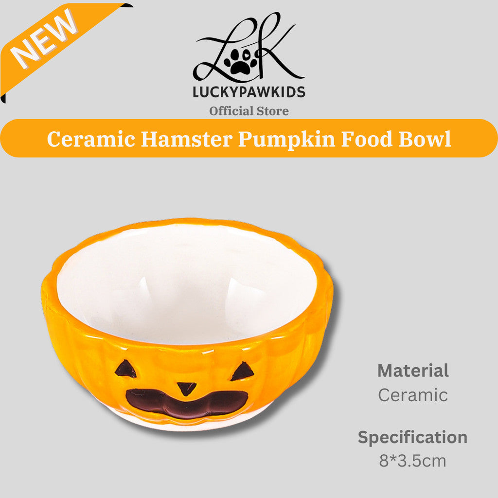 Hamster Ceramic Hideout Nest Cute Pumpkin Halloween Design
