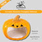 Hamster Ceramic Hideout Nest Cute Pumpkin Halloween Design