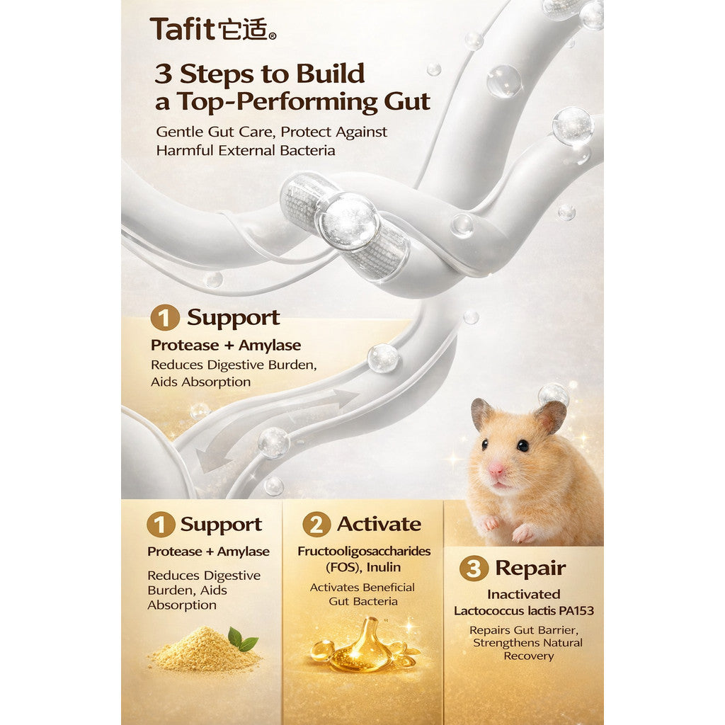 Tafit Complete Baked Hamster Food | 24-in-1 Nutrition | Gut Health + Shiny Fur Formula | Acai Berry + Postbiotics