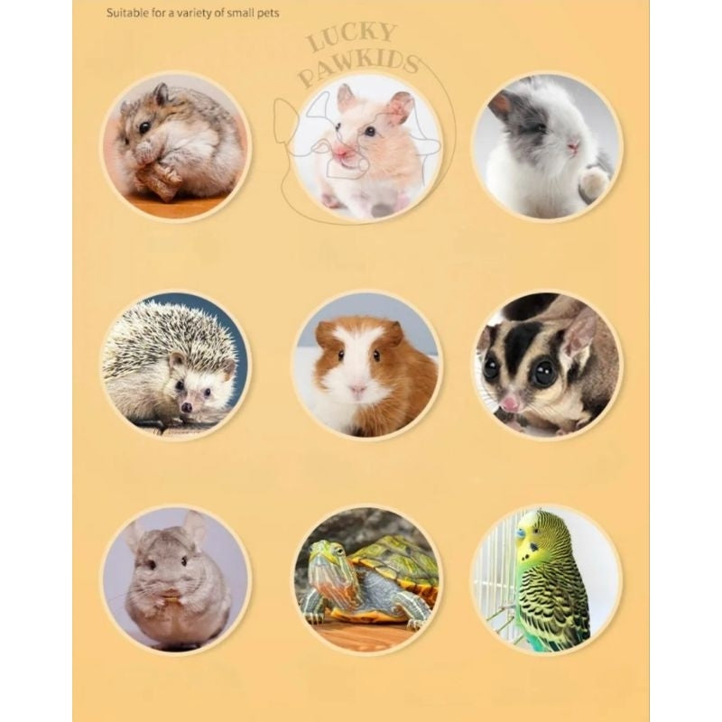 Hamster snack/Treats/Pet Snack/nutrition Snack/Small pets treats/beadworm