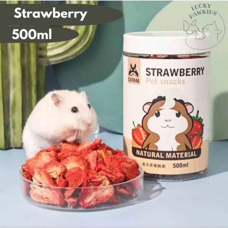 Hamster snack/Treats/Pet Snack/nutrition Snack/Small pets treats/beadworm