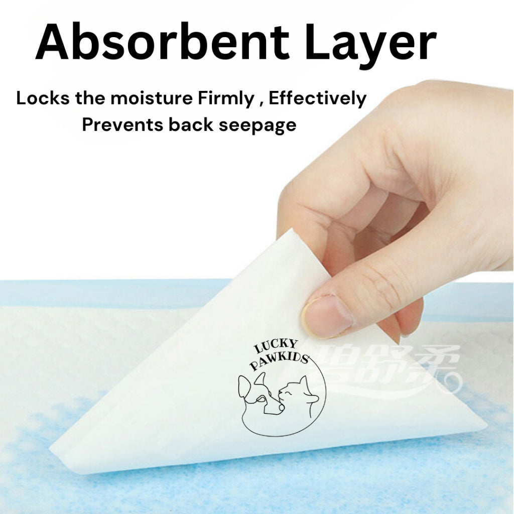 Pet Bamboo charcoal absorbent diaper pet training toilet Pad/pee pad