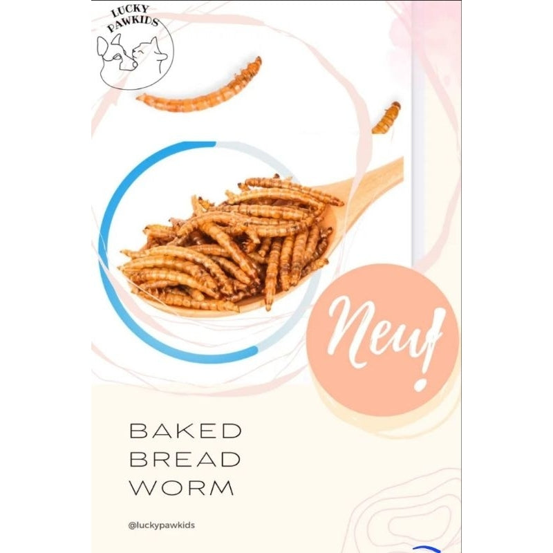 Hamster snack/Treats/Pet Snack/nutrition Snack/Small pets treats/beadworm