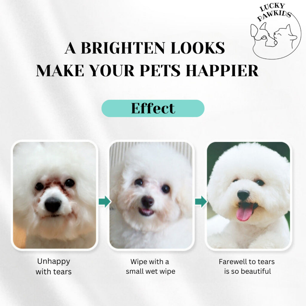 200 pics/Pets eye wipes /dogs cats stain remover/wipes/pets