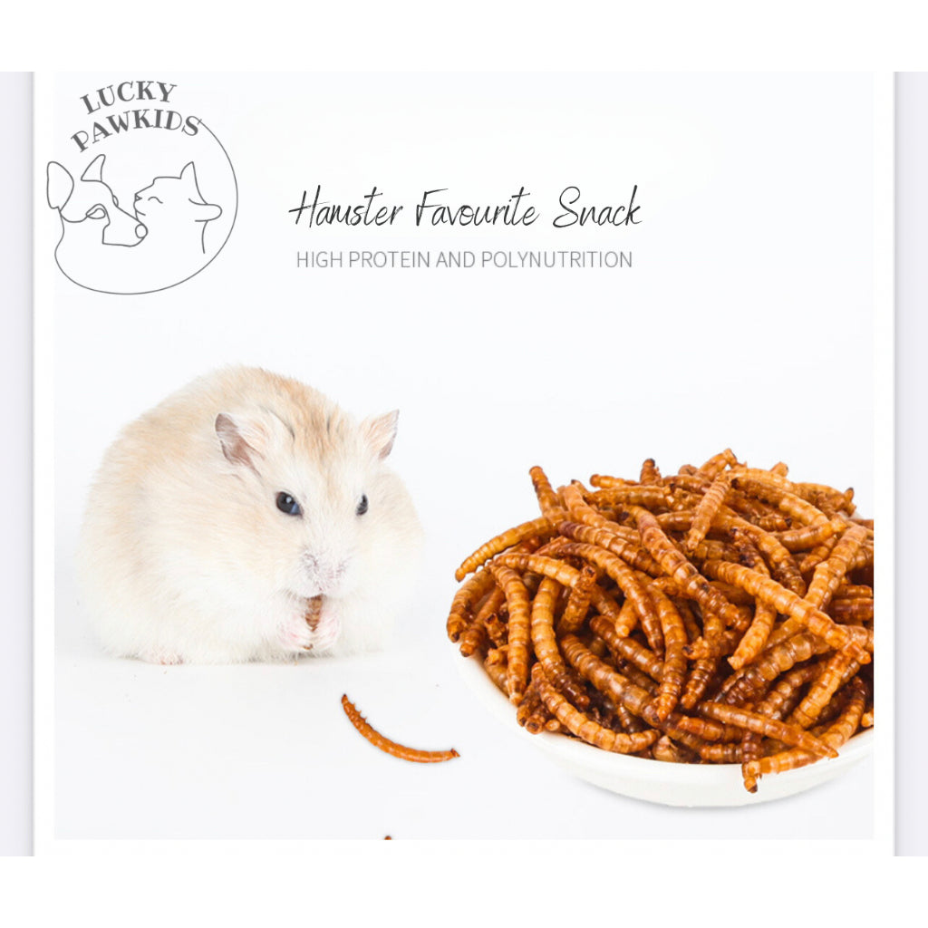 Hamster snack/Treats/Pet Snack/nutrition Snack/Small pets treats/beadworm