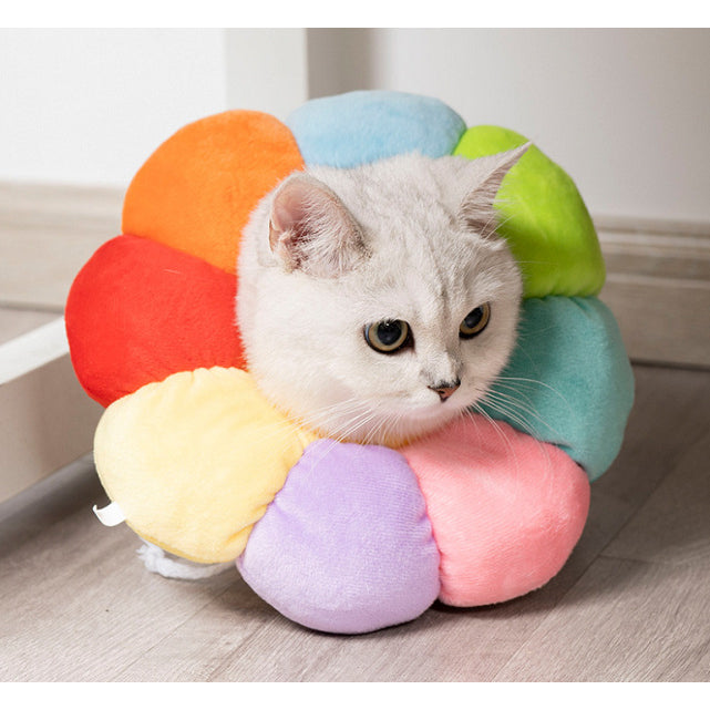 CAT / DOG / CONE COLLAR / COMFY SOFT CONE COLLAR / Anti-Lick / Anti-Scratch