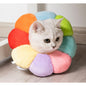 CAT / DOG / CONE COLLAR / COMFY SOFT CONE COLLAR / Anti-Lick / Anti-Scratch
