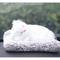 Bamboo Charcoal Car Odor Removal Decoration