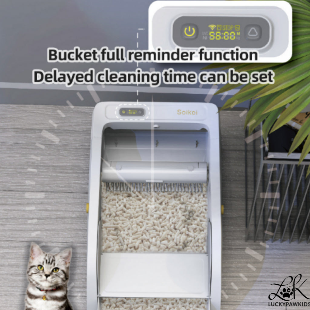 Automated Cat Litter Box – Say Goodbye to Scooping Forever-Luckypawkids