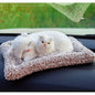 Bamboo Charcoal Car Odor Removal Decoration