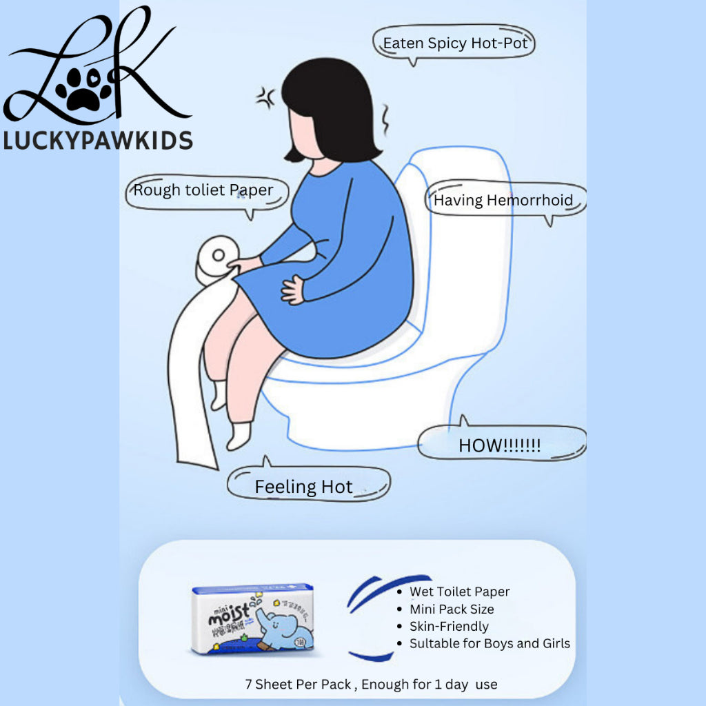 Disposable wet tissue/Wipes/Toilet Wipes /Wet-tissue/ Moist Toilet Paper / Wet Toilet Paper / Moist/ toilet paper