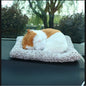 Bamboo Charcoal Car Odor Removal Decoration