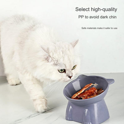 PVC Plastic Cat Bowl