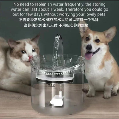 Pet Water Dispenser Automatic Cycle Intelligent Constant Temperature Cat And Dog