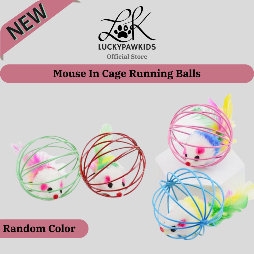 Retractable Cat Teaser Wands / Cat Toy / Cat Rod / Cat Scartch Board / Cat Ball Toy / Sisal Ball