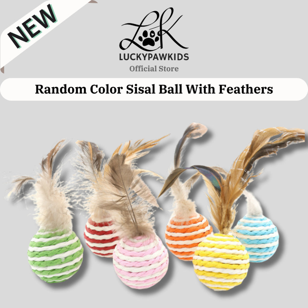 Retractable Cat Teaser Wands / Cat Toy / Cat Rod / Cat Scartch Board / Cat Ball Toy / Sisal Ball
