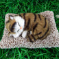 Bamboo Charcoal Car Odor Removal Decoration