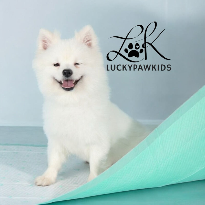 Ultra Absorbent pee pad/ Dog Training Pee Pad / Pets / Urine Pad / Premium Grade/Luckypawkids