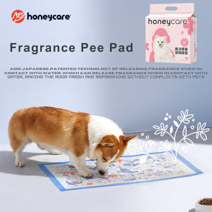 HONEYCARE PEE PAD / Dog Training Pee Pad / Pets / Urine Pad / Premium Grade/Luckypawkids