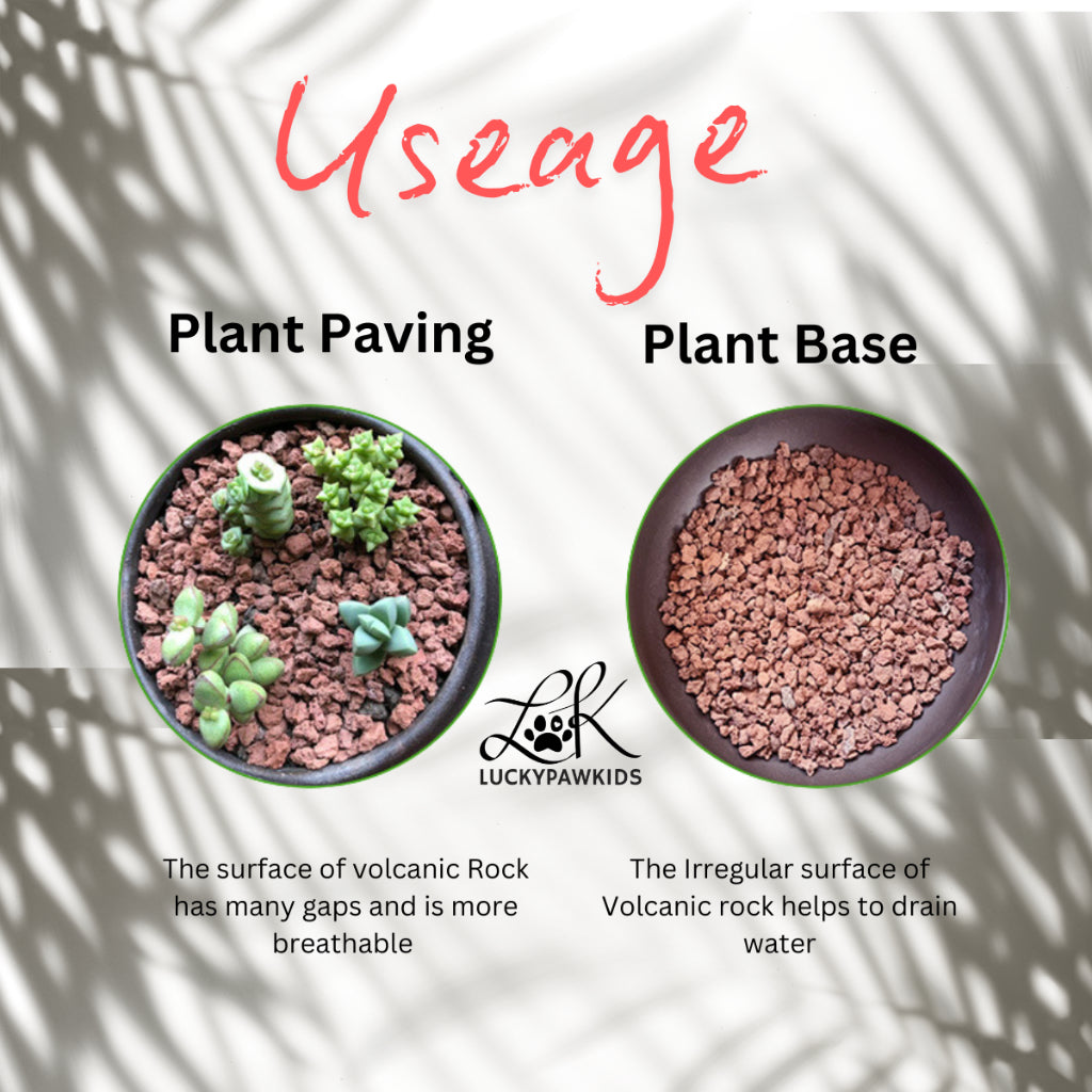 火山石 Volcanic rock particles succulent plant paving stone volcanic rock garden flowers aquarium filter landscaping 2.5k