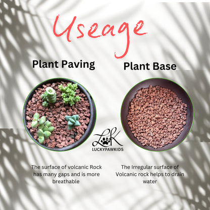 火山石 Volcanic rock particles succulent plant paving stone volcanic rock garden flowers aquarium filter landscaping 2.5k