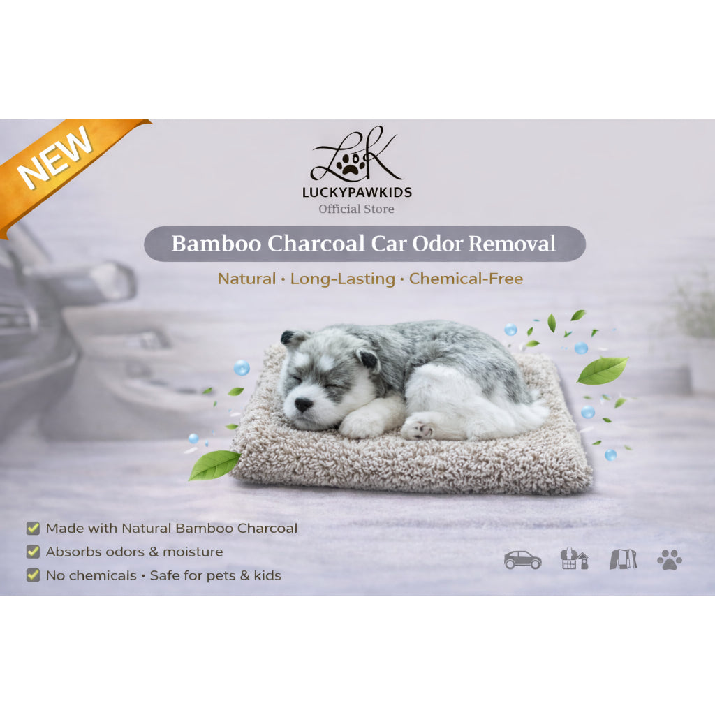 Bamboo Charcoal Car Odor Removal Decoration