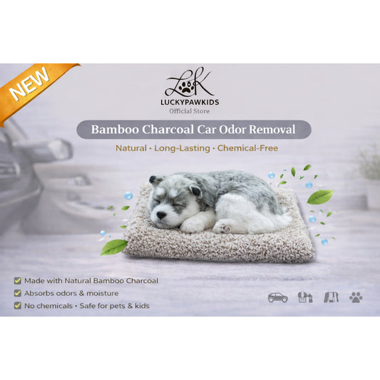 Bamboo Charcoal Car Odor Removal Decoration