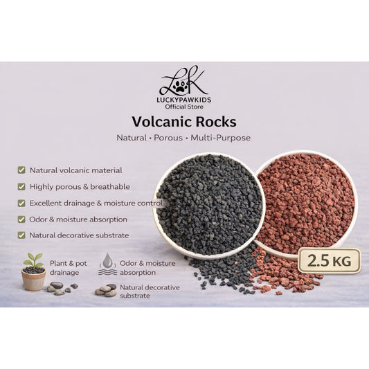 火山石 Volcanic rock particles succulent plant paving stone volcanic rock garden flowers aquarium filter landscaping 2.5k