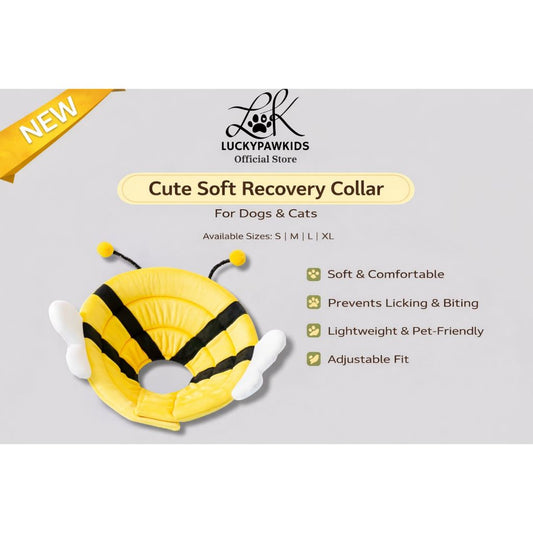 CAT / DOG / CONE COLLAR / COMFY SOFT CONE COLLAR / Anti-Lick / Anti-Scratch